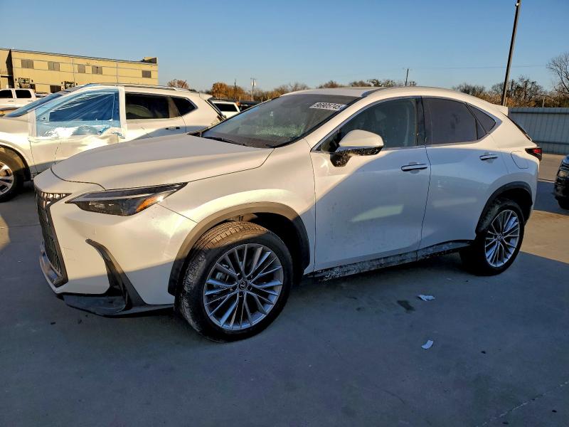 2025 LEXUS NX — VIN 2T2GGCEZ2SC085625