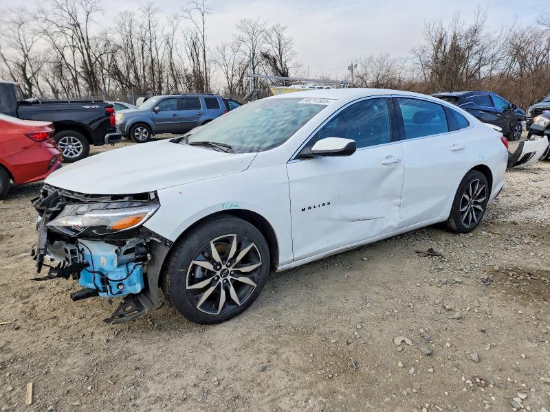 2024 CHEVROLET MALIBU — VIN 1G1ZG5STXRF197141