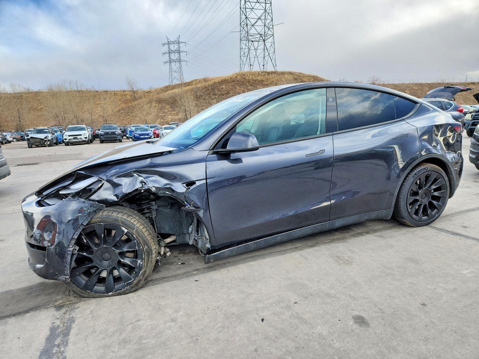 2024 TESLA MODEL Y — VIN 7SAYGDEE7RF079789