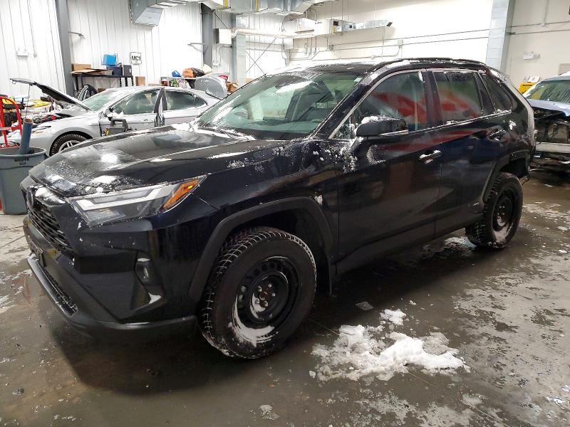 2024 TOYOTA RAV4 — VIN 2T3RWRFV3RW212512