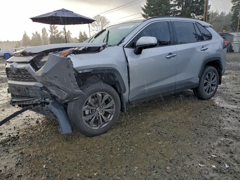 2024 TOYOTA RAV4 HYBRID — VIN JTMD6RFV9RD118531
