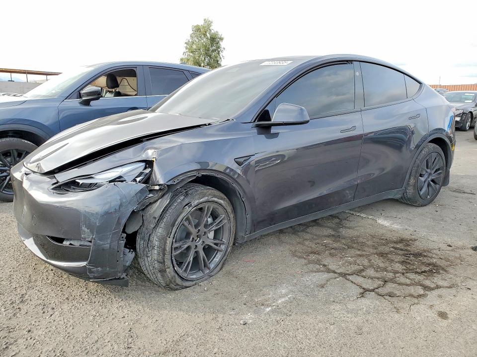 2024 TESLA MODEL Y — VIN 7SAYGDEE4RF198416