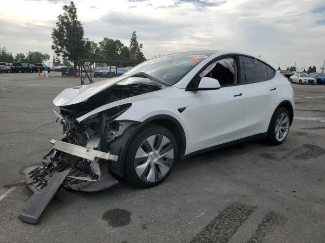2023 TESLA MODEL Y — VIN 7SAYGDEE8PA156549
