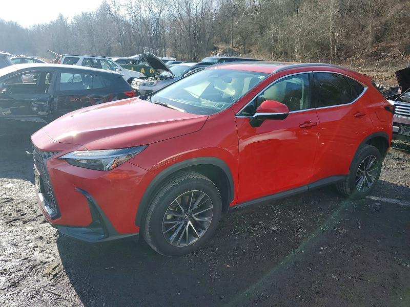 2024 LEXUS NX — VIN 2T2GKCEZ2RC028477