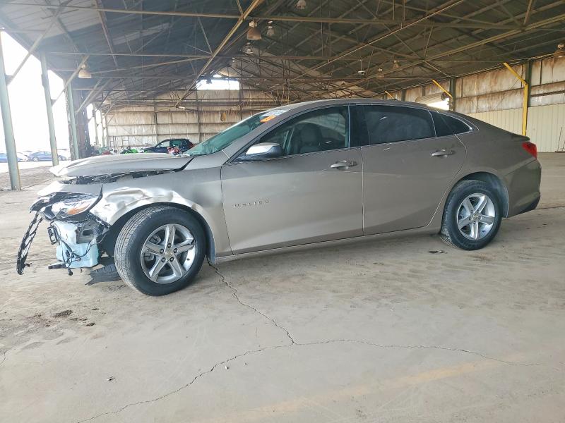 2024 CHEVROLET MALIBU LS — VIN 1G1ZB5ST5RF113256