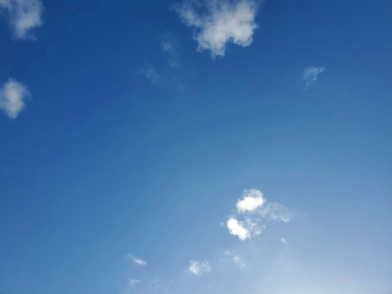WDDZF4JB8KA592392