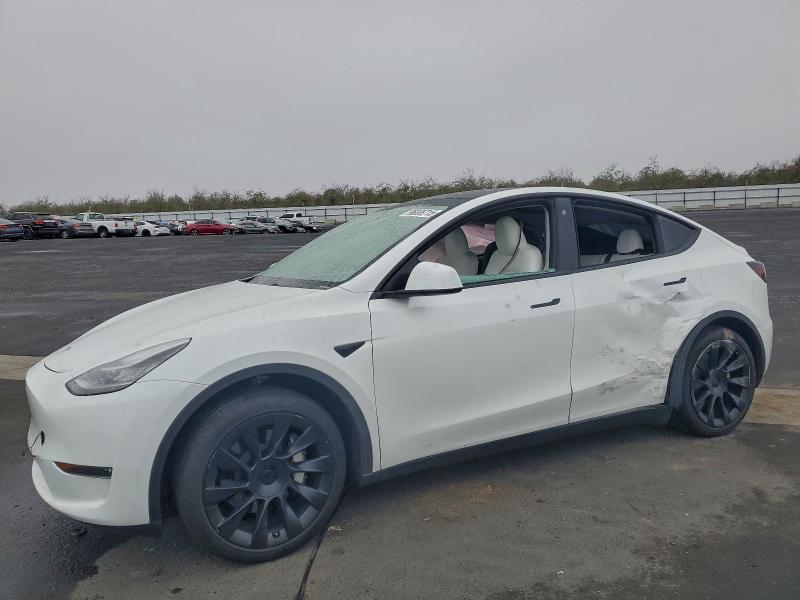 2023 TESLA MODEL Y — VIN 7SAYGDEE8PA103530