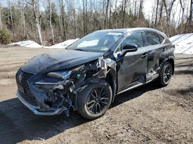 2020 LEXUS NX — VIN JTJSARDZ4L2230018