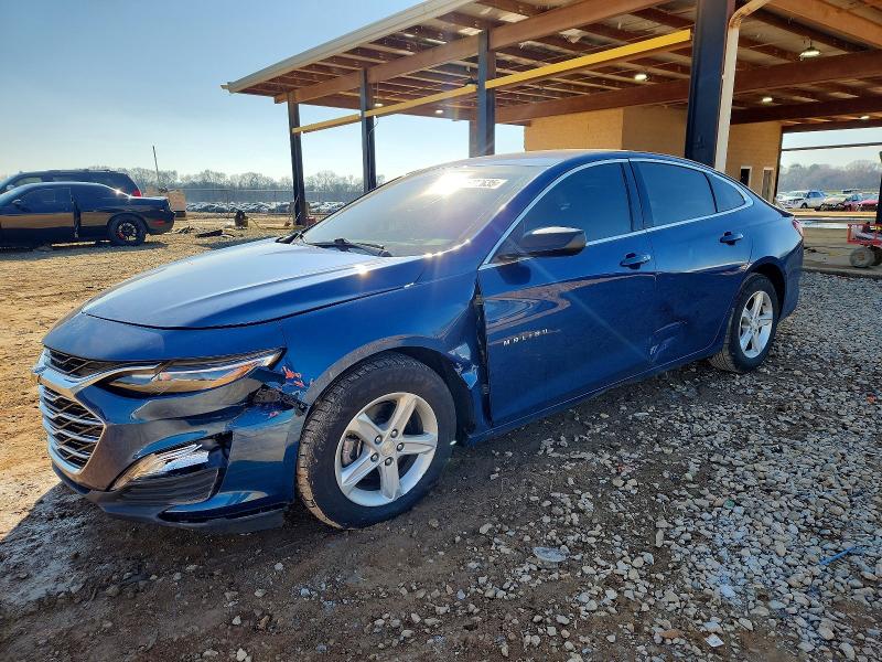 2019 CHEVROLET MALIBU — VIN 1G1ZB5ST8KF207086