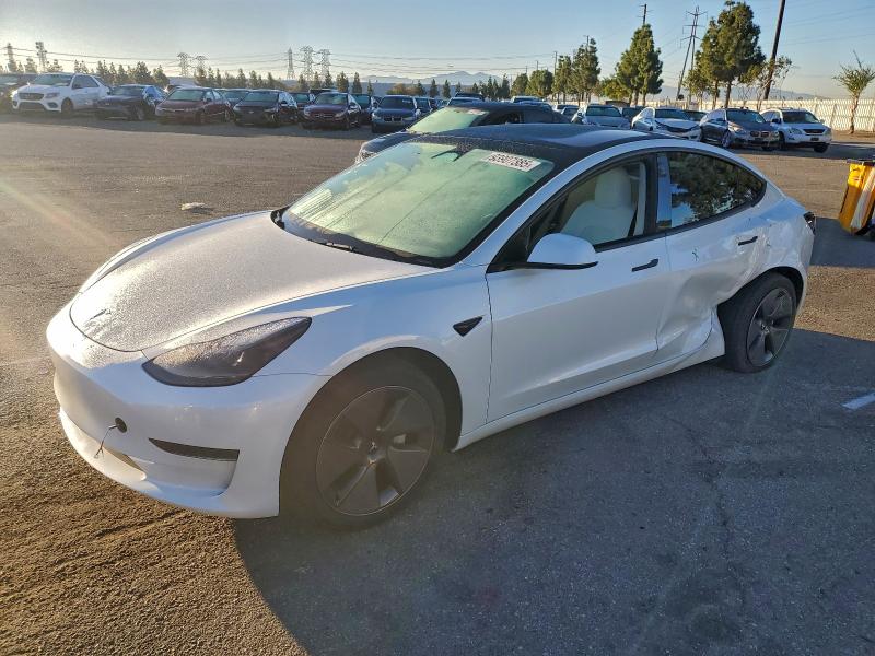 2023 TESLA MODEL 3 — VIN 5YJ3E1EA4PF569824