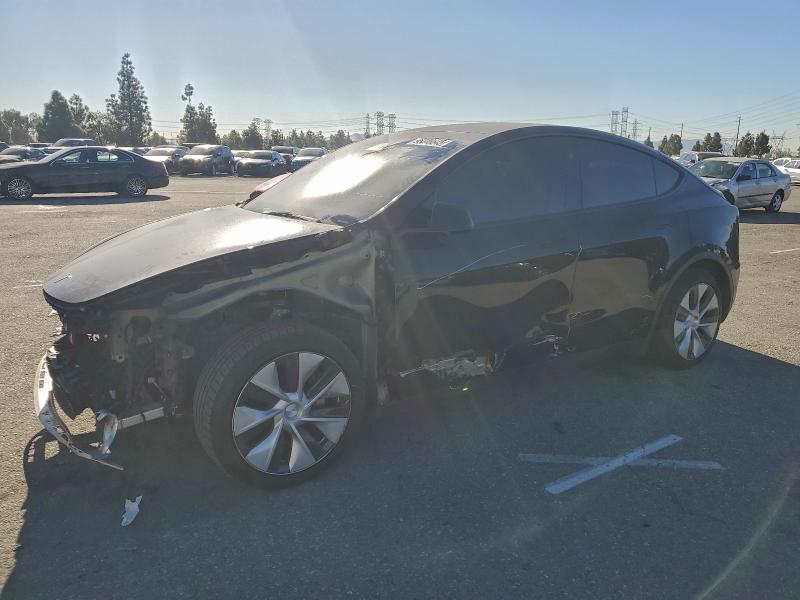 2023 TESLA MODEL Y — VIN 7SAYGAEE3PF882143