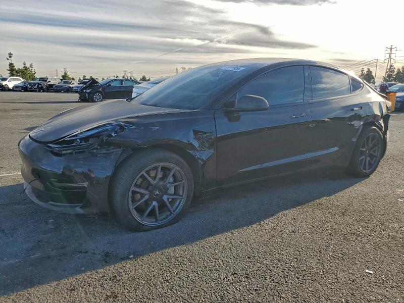 2023 TESLA MODEL 3 — VIN 5YJ3E1EA8PF497607