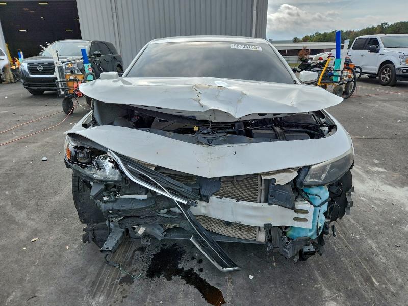 1G1ZD5ST6JF158561