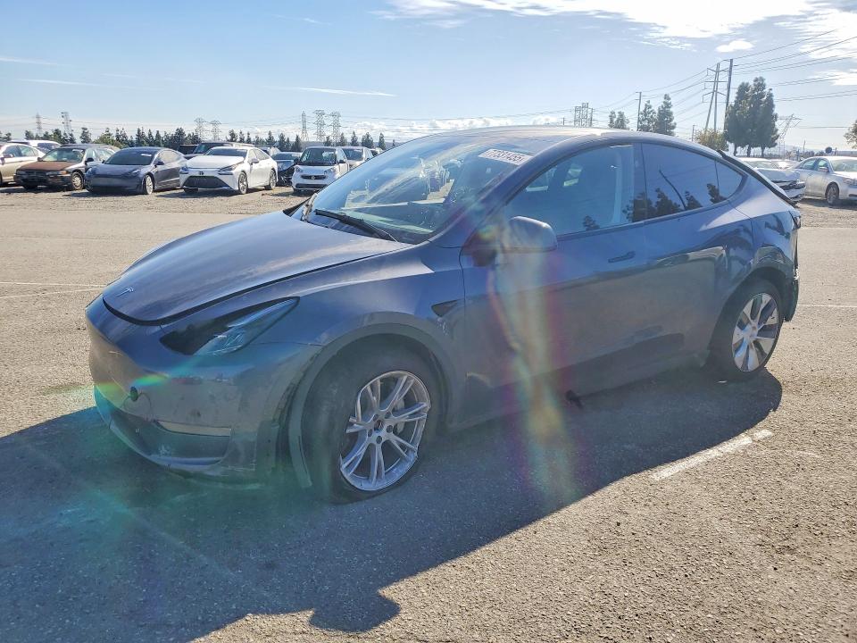 2023 TESLA MODEL Y — VIN 7SAYGDEE7PA168451