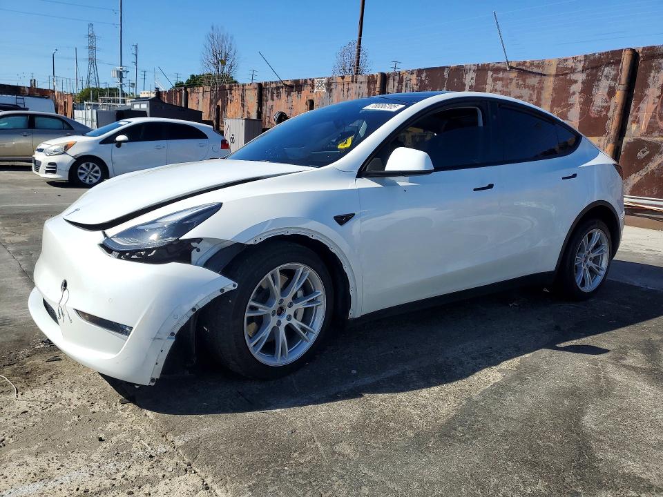 2023 TESLA MODEL Y — VIN 7SAYGAEEXPF881507