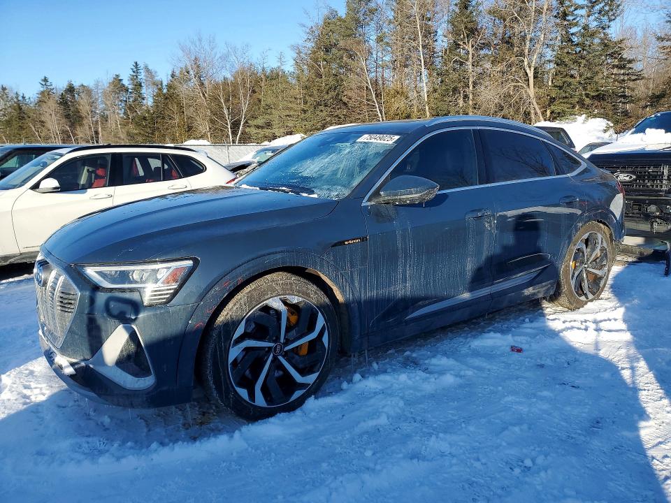 2020 AUDI E-TRON — VIN WA13AAGE0LB033245