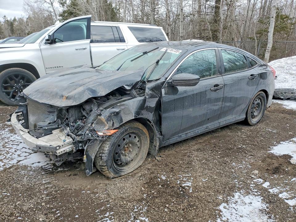 2019 HONDA CIVIC — VIN 2HGFC2F74KH010662