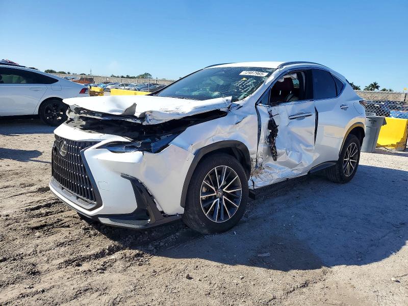 2024 LEXUS NX — VIN JTJADCAZ0R5013755