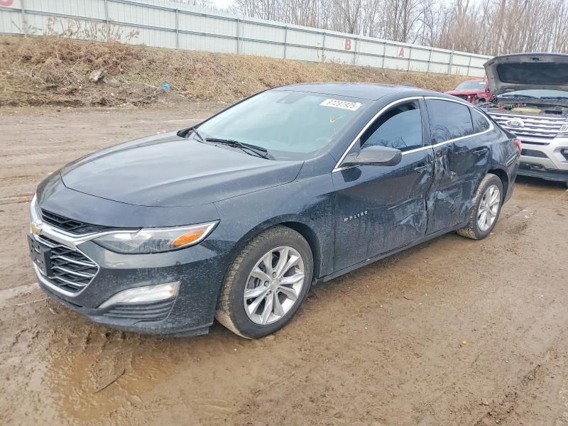 2019 CHEVROLET MALIBU — VIN 1G1ZD5ST5KF206858