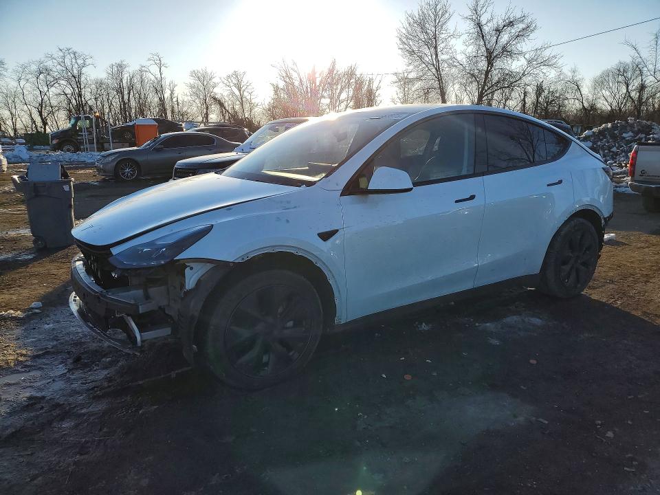 2024 TESLA MODEL Y — VIN 7SAYGDED9RF202810