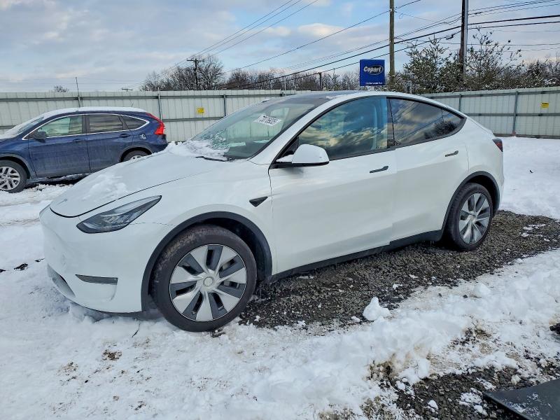 2023 TESLA MODEL Y — VIN 7SAYGDEE9PA129456