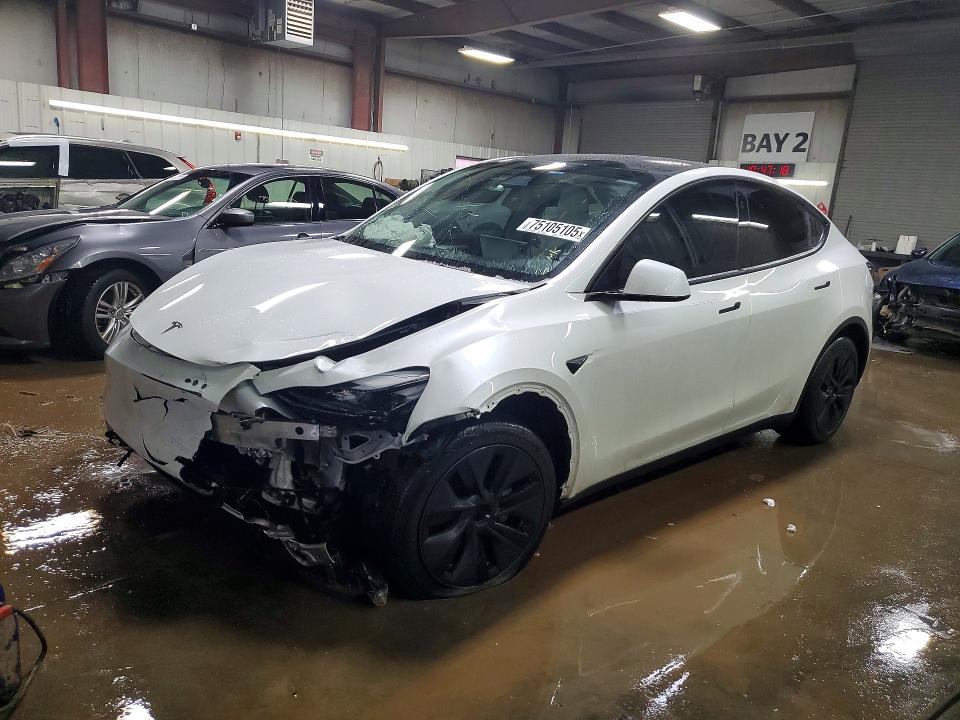 2024 TESLA MODEL Y — VIN 7SAYGDEE7RF167211