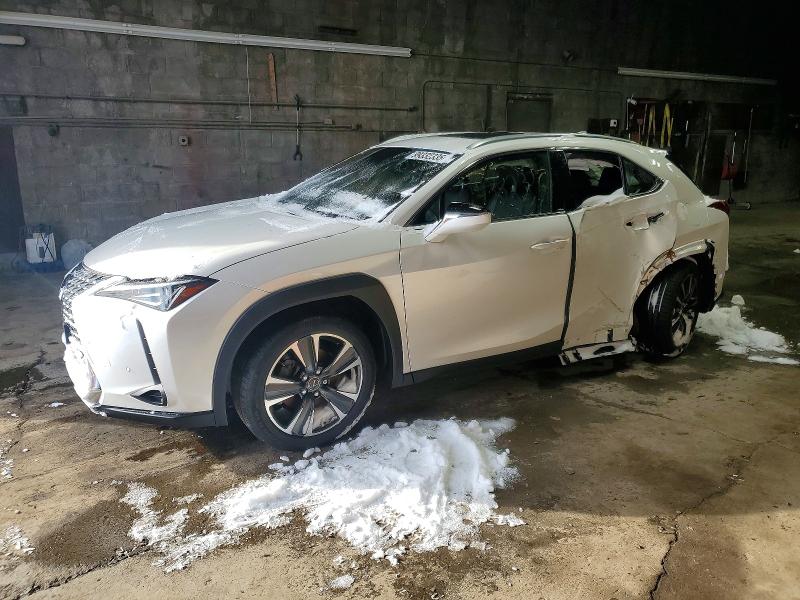 2019 LEXUS UX 200 — VIN JTHY3JBH9K2017727