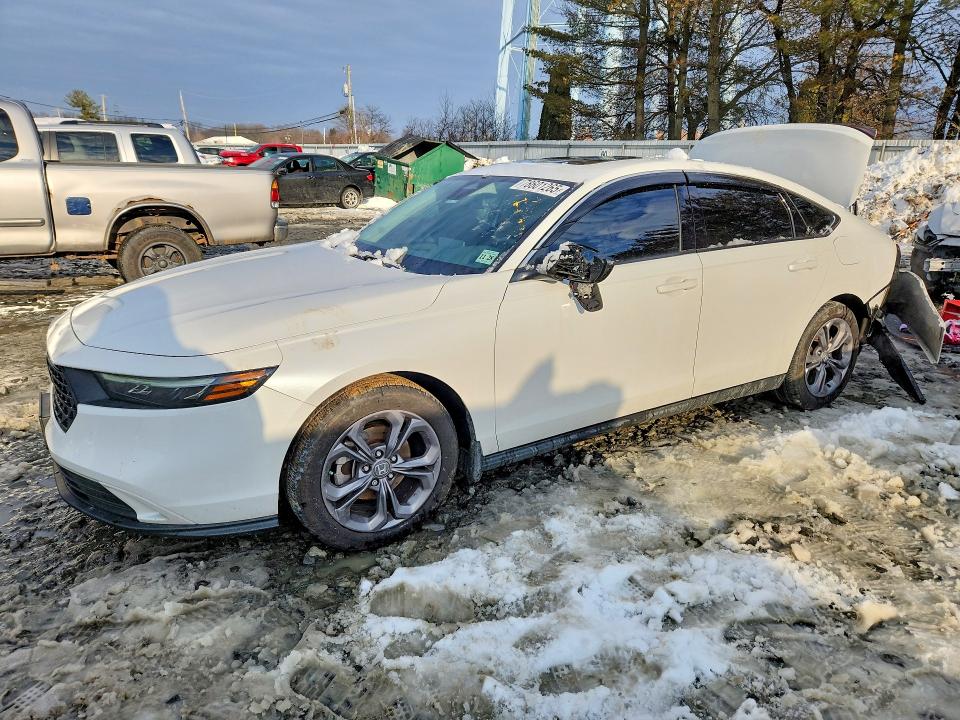 2024 HONDA ACCORD — VIN 1HGCY1F36RA018055