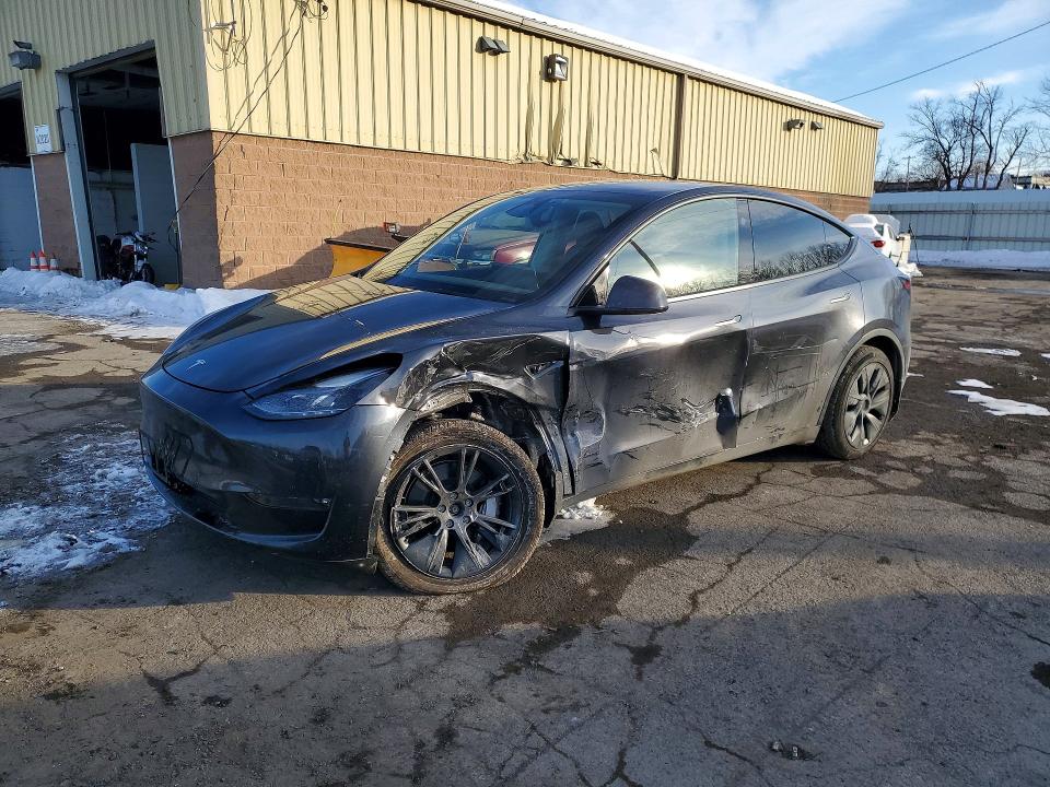 2024 TESLA MODEL Y — VIN 7SAYGDEEXRF159975