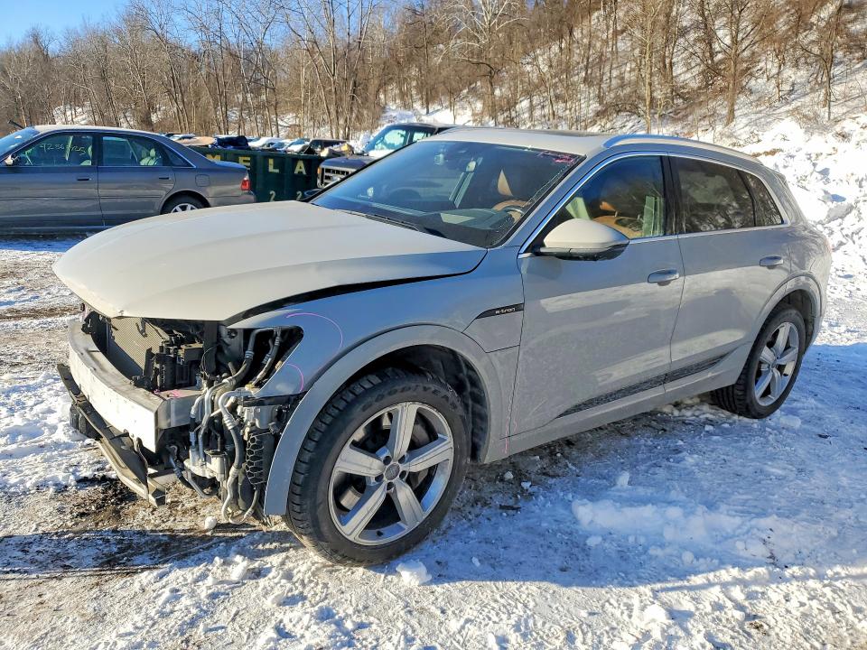 2019 AUDI E-TRON — VIN WA1VAAGE1KB014033