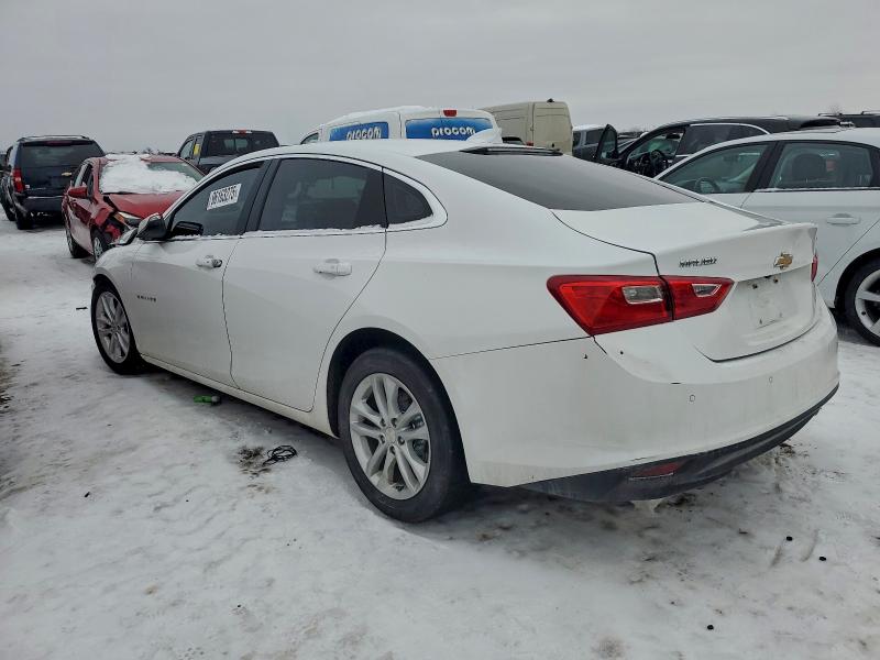 1G1ZD5ST8JF162353