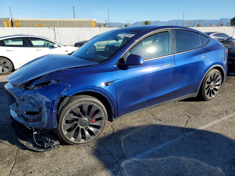 2023 TESLA MODEL Y — VIN 7SAYGDEF0PF795956