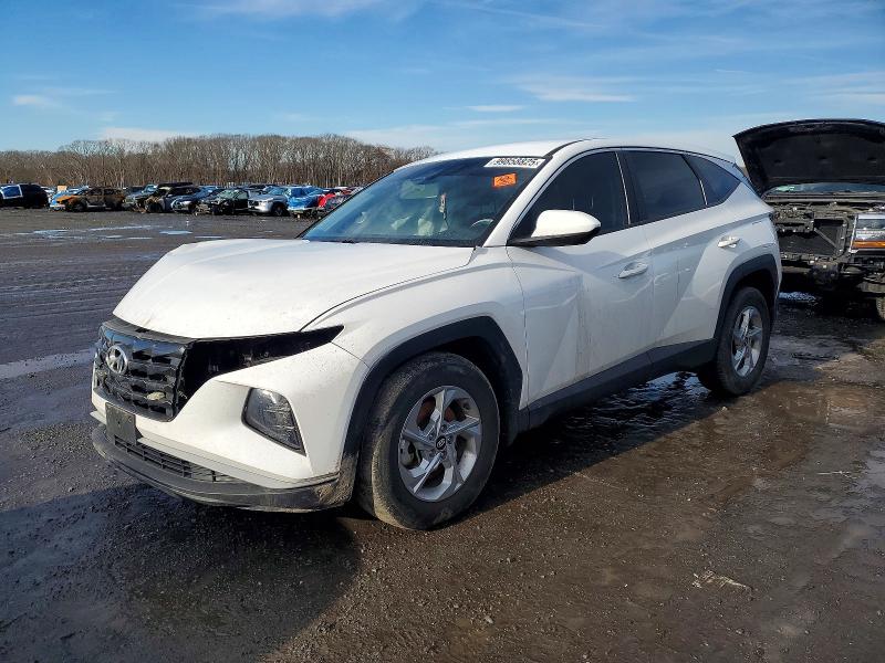 5NMJACAE4PH239588