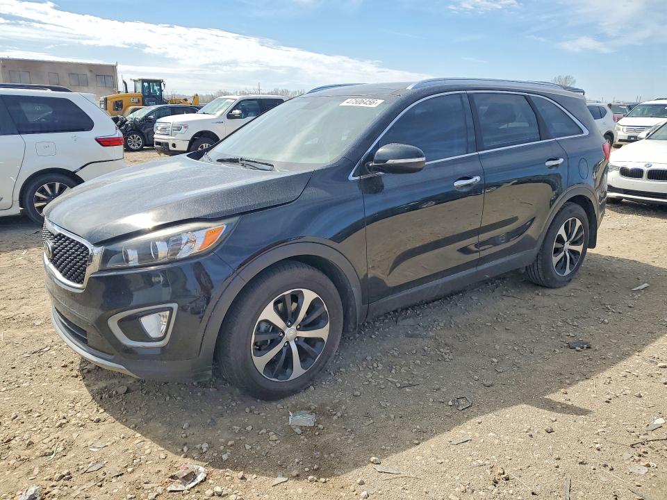5XYPH4A56GG141619