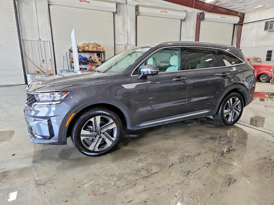 KNDRKDLG4P5181537