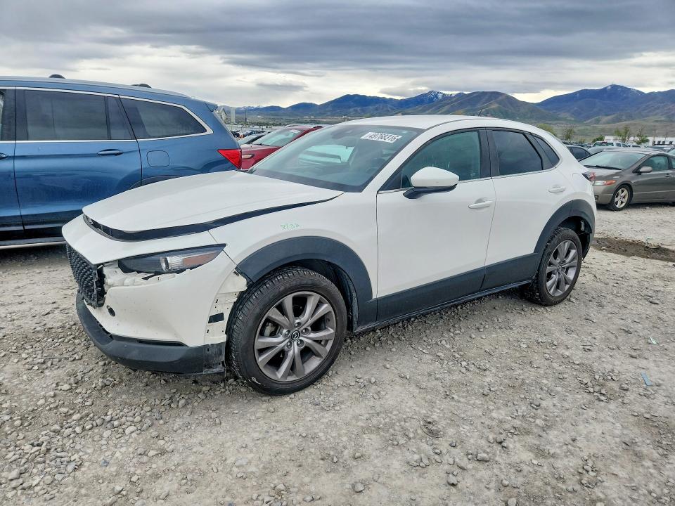 3MVDMBCL7LM119154