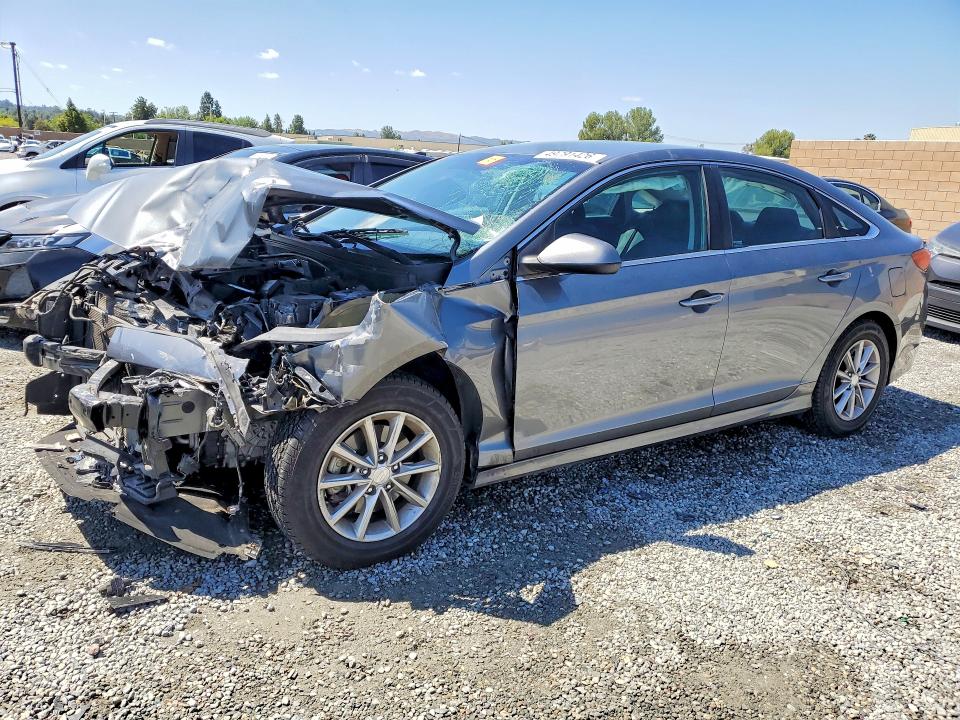 5NPE24AF1JH695281