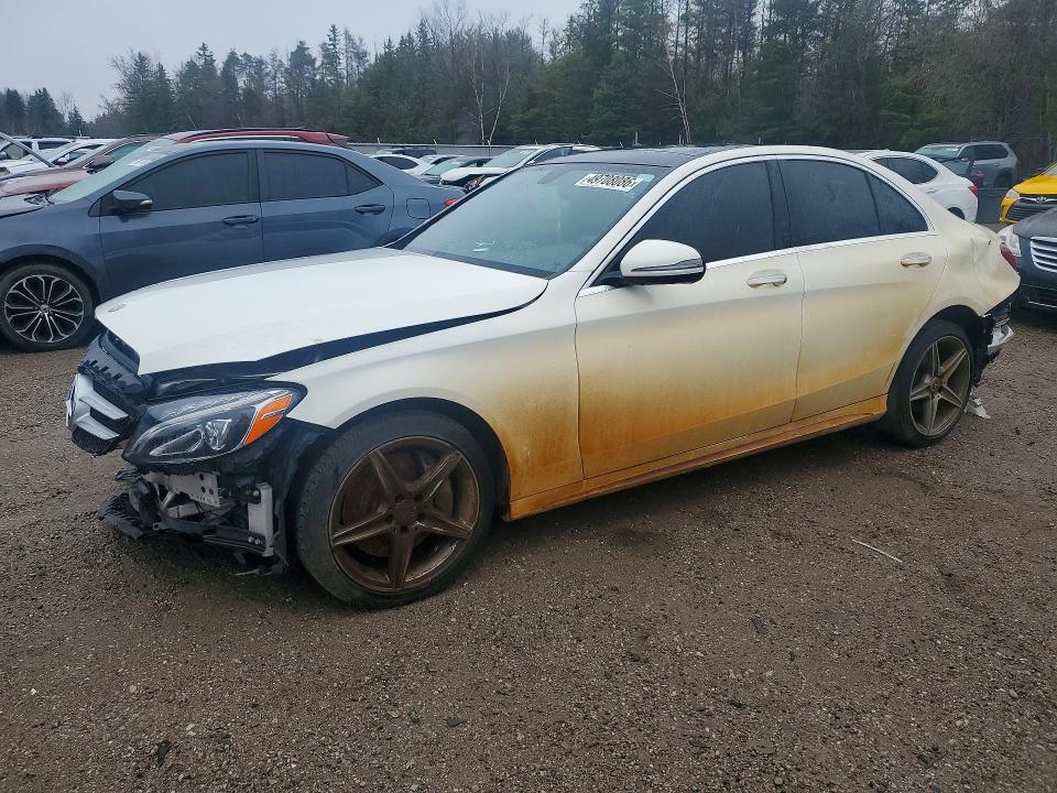 55SWF4KB2JU273408