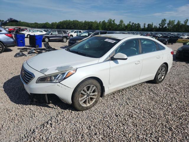 5NPE24AF2FH223498