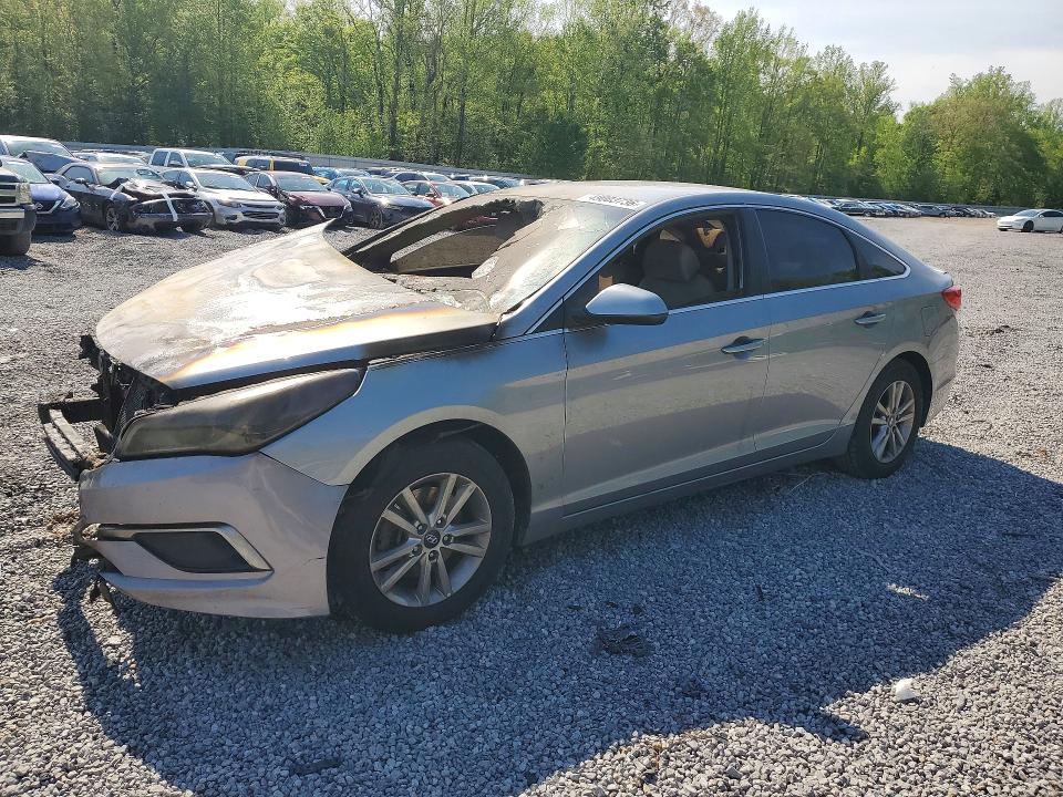 5NPE24AF2HH444764