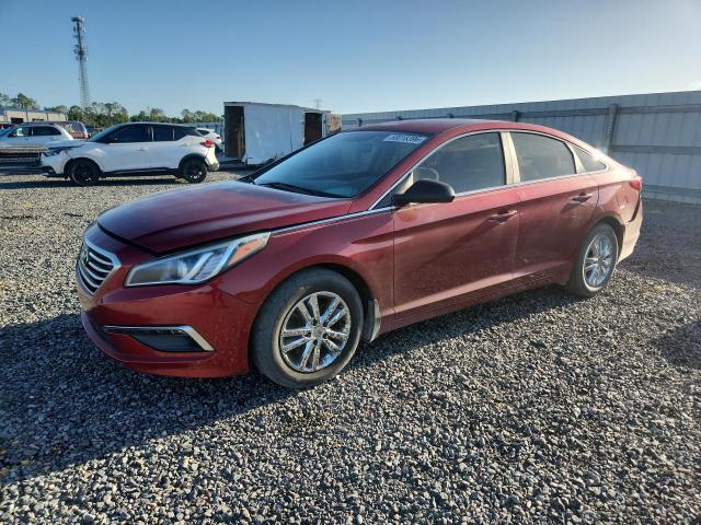 5NPE24AF9FH053804