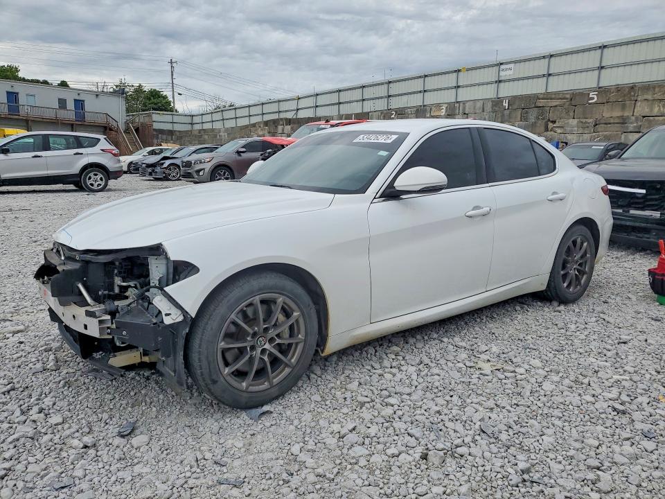 ZARFANAN3L7630417