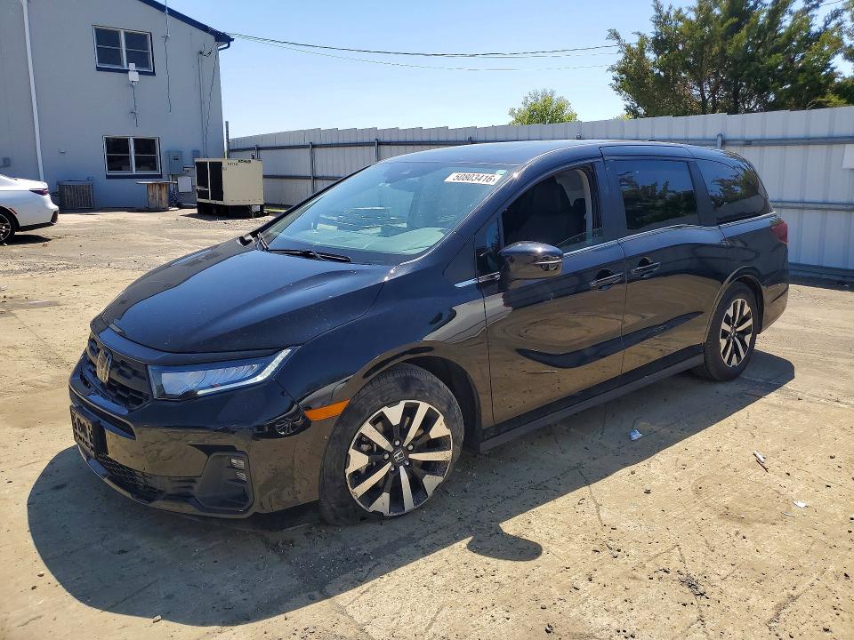 5FNRL6H66SB042946
