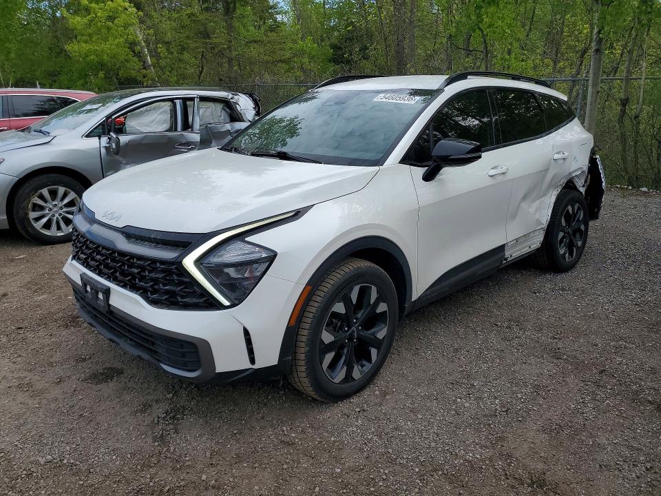 KNDPUCAF9P7079564