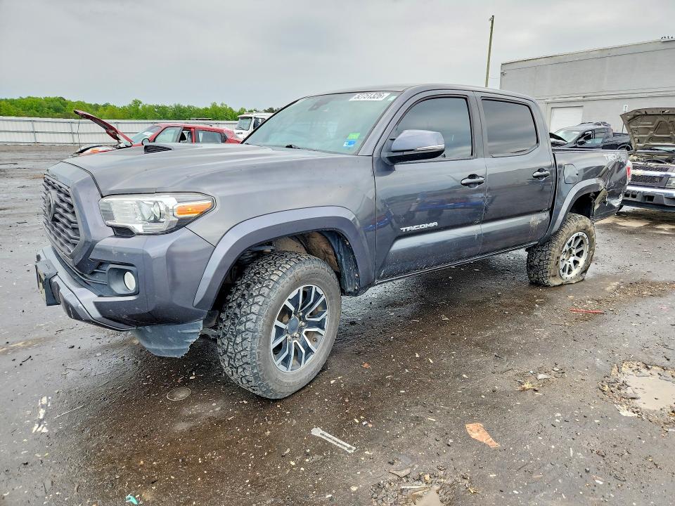 3TMCZ5AN5LM317719