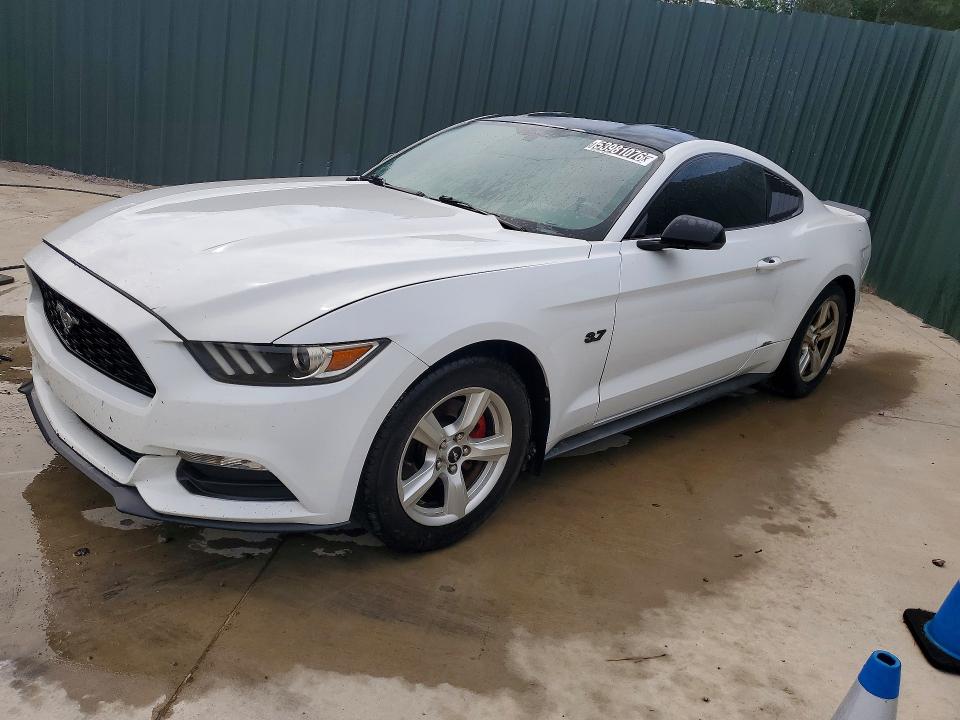 1FA6P8AM4H5305009
