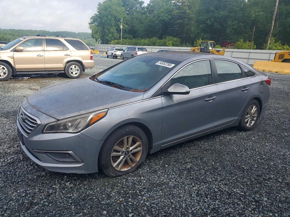 5NPE24AF3GH417524