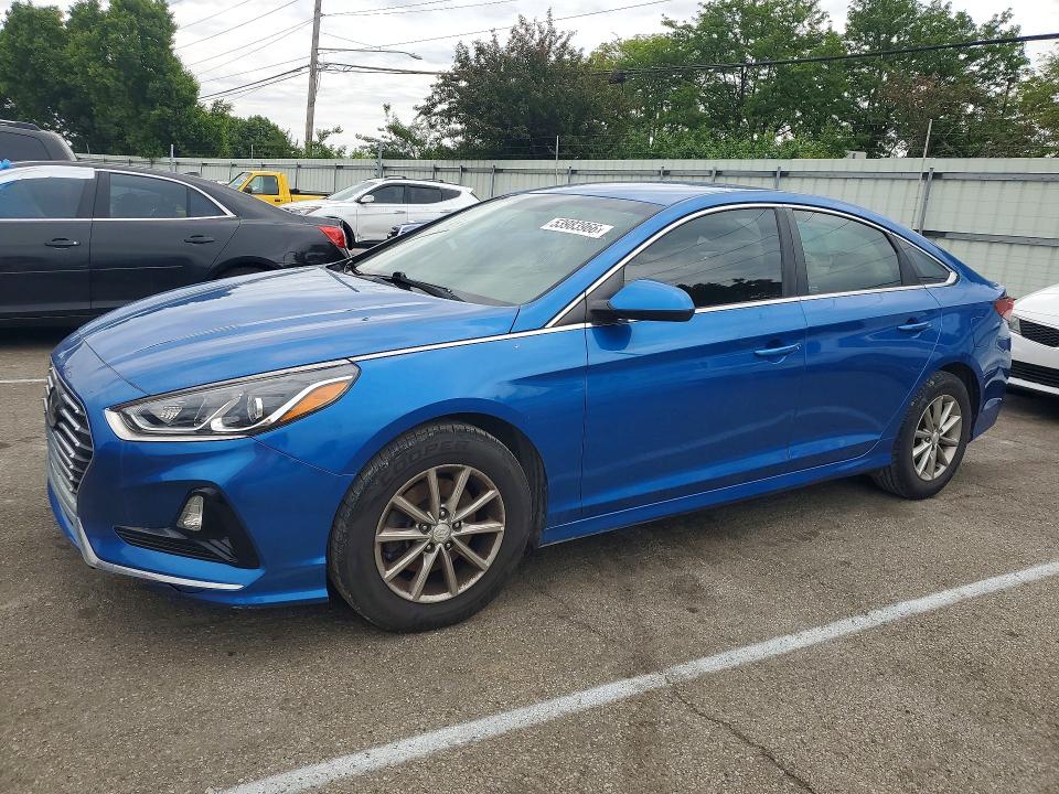 5NPE24AF5KH747903