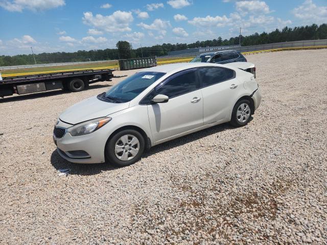 KNAFK4A61F5420986