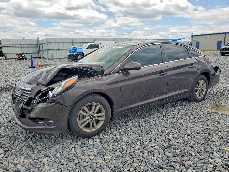 5NPE24AF7FH171916
